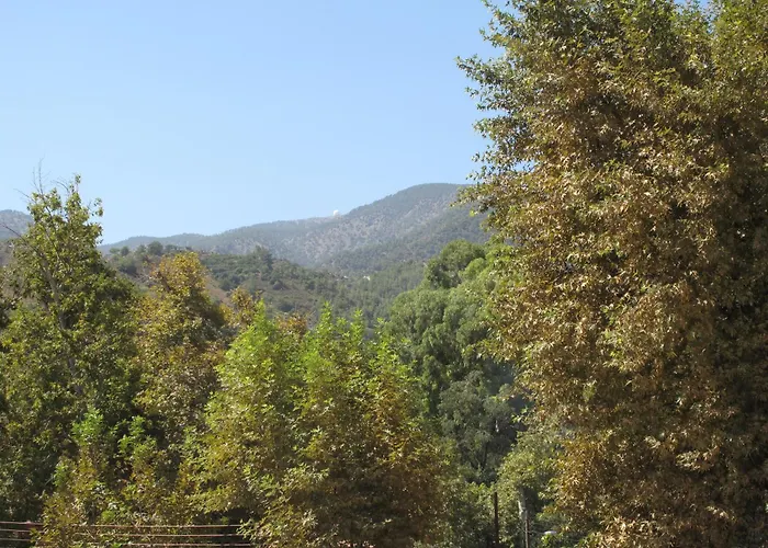 Apartament Platinum *